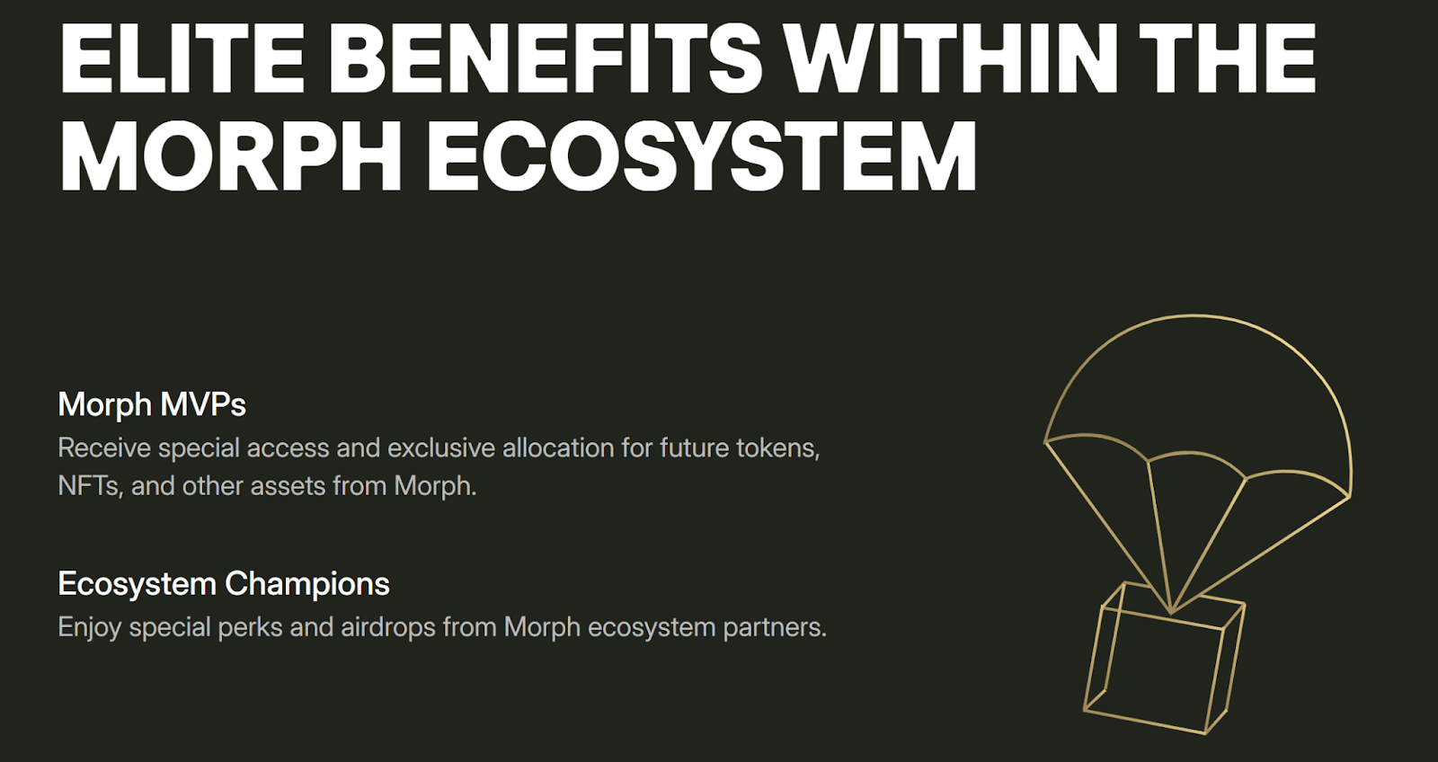 消费级公链Morph正式推出Morph Black黑金卡，抢先铸造 Morph Black NFT，即可享受相应权益