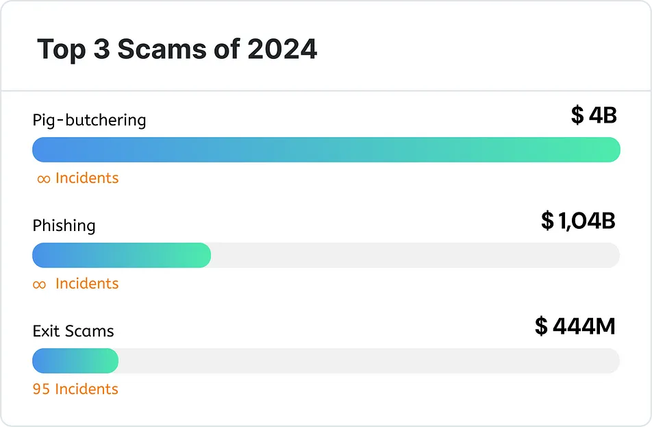2024 年最大的加密货币骗局