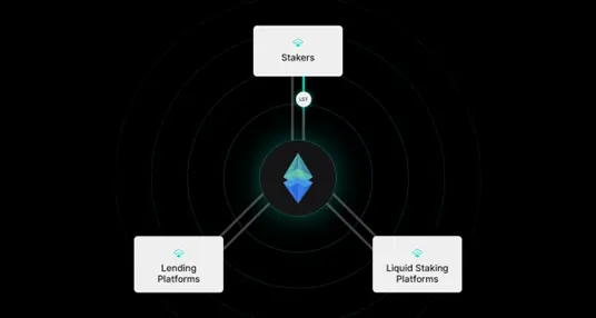 波场 TRON 行业周报:BTC 短线反弹或见顶,Treehouse 提供无风险 Defi 收益