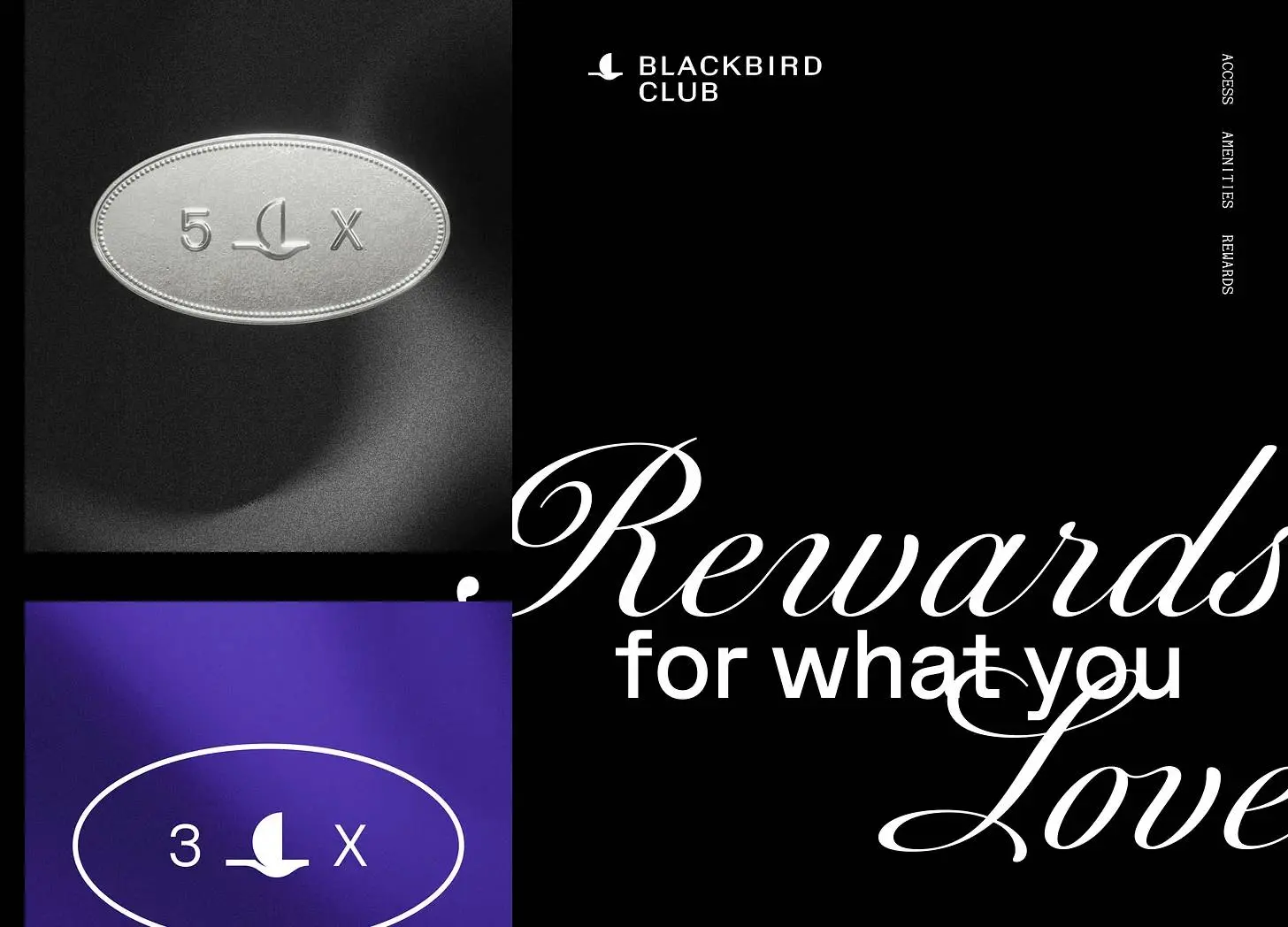 8500 万美元豪赌餐饮 Web3:Blackbird 如何用区块链重构万亿级忠诚度市场