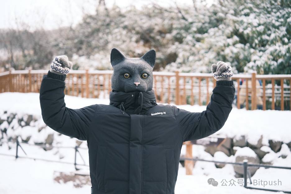 专访猫总：我在日本，用加密货币卖房子