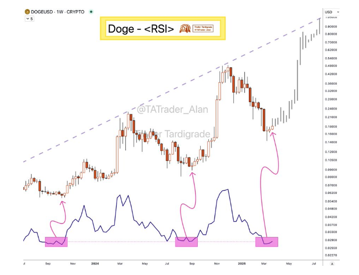 马斯克否认 DOGE 与美国政府的关系，狗狗币到底了吗？