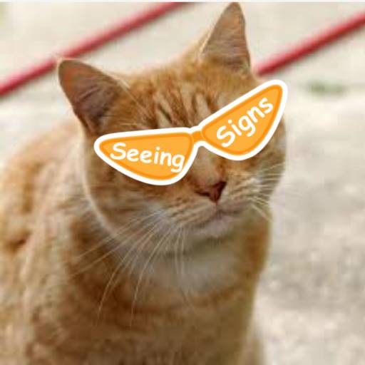 比马斯克魔幻，这个中国团队把 Web3 玩成线上嘉年华