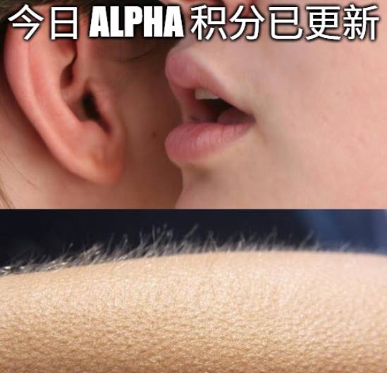 收益碾压空投赛道,撸毛不如撸 alpha?