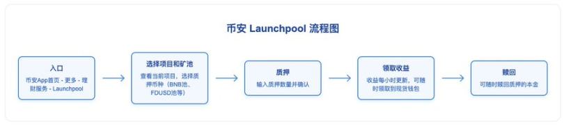 币安赚钱效应指南:BNB 持有党 vs Alpha 积分党,如何实现收益最大化?