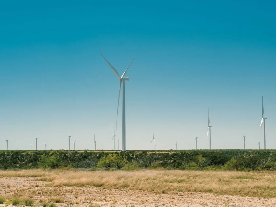 彭博社：靠石油发家的德克萨斯大学，想在 Crypto 和 AI 领域赚钱