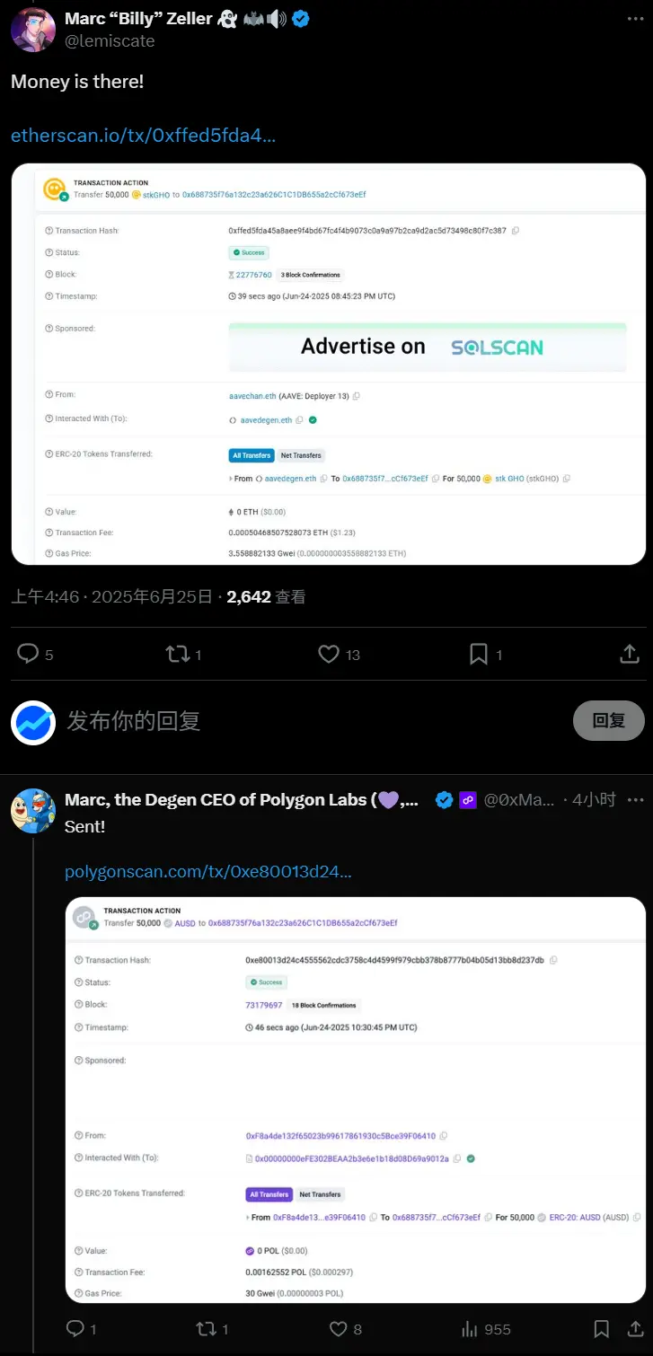 Polygon CEO 与 AAVE 守护者的赌局：Polygon 双币设计是福是祸？