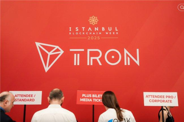 浪漫的土耳其,枕头下的稳定币