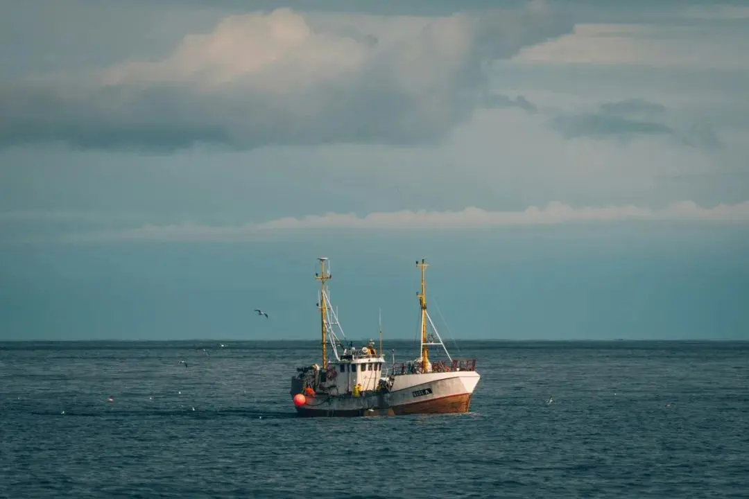 肖风：中国创业者在稳定币经济中的独特优势(肖风谈稳定币区块链1.2万字完整版)