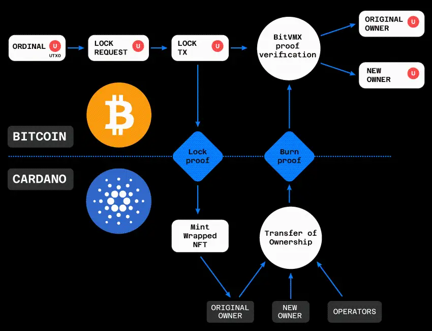 Cardano 的 7100 万美元治理改革实验：迈向自治之路