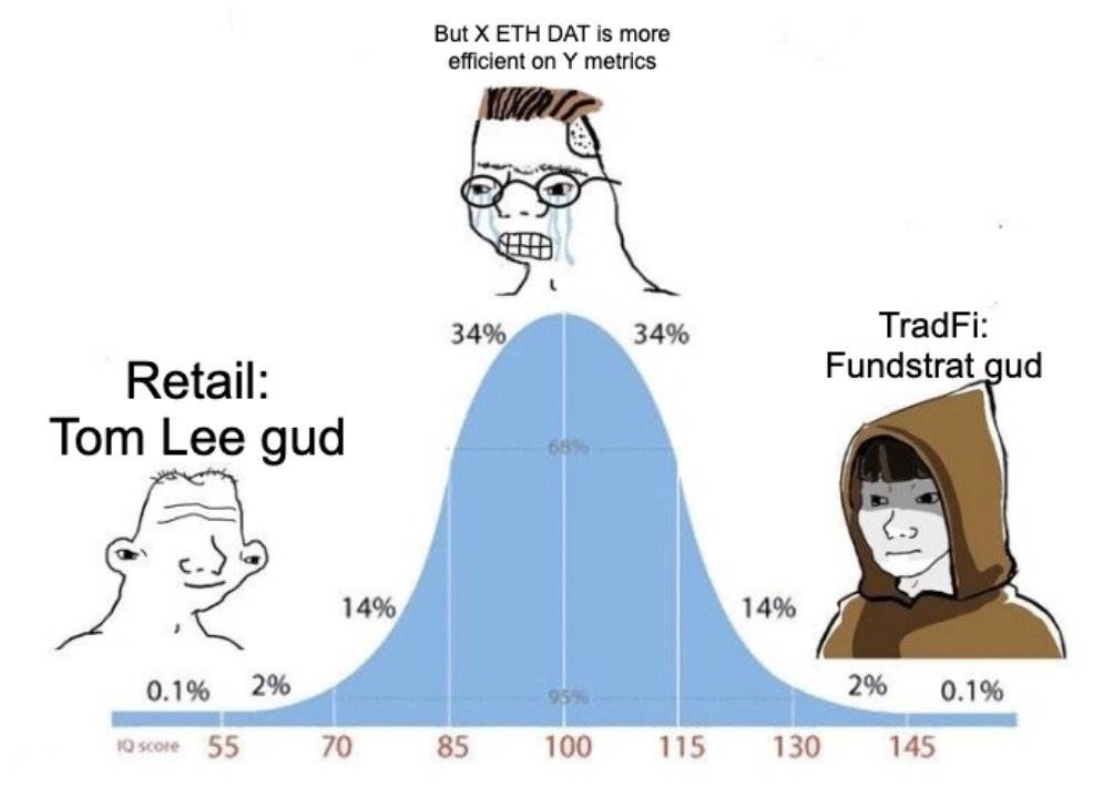 DAT 赛道未完待续:第四季度更多玩家蓄势待发