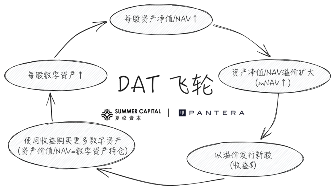 解构 DAT：超越 mNAV，如何识别“真假囤币”？